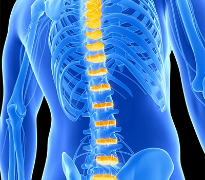 The Science of Spinal Support: How Xianku Assesses Scoliosis, Pelvic Tilt & Posture