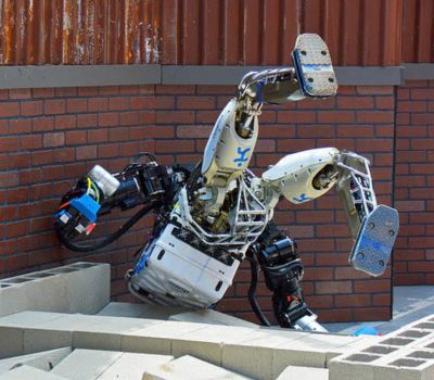 Why Do Humanoid Robots Keep Falling While Humans Rarely Do?