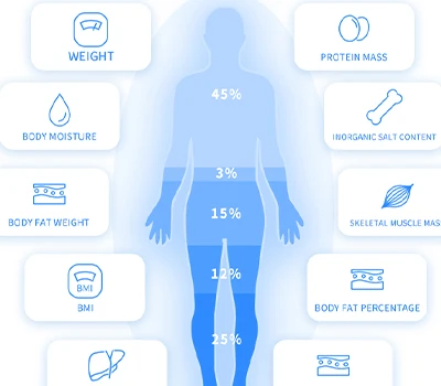 Beyond The Scale: InBody Vs Xianku3D - The Battle For Body Insight in Commercial Spaces