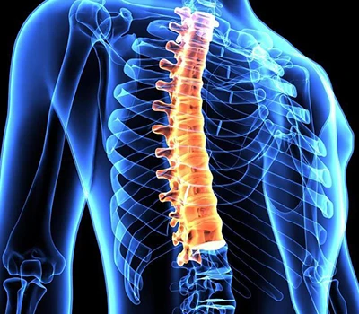 Spinal Correction: How Xianku3D Body Scanner Is Transforming Spinal Healthcare