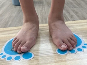 66 66